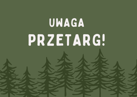 Ogłoszenie na przetarg SAMOCHODU